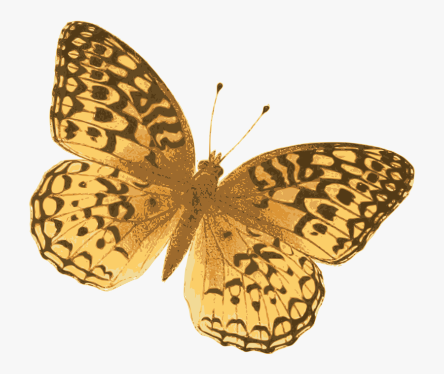 Fritillar, Transparent Clipart
