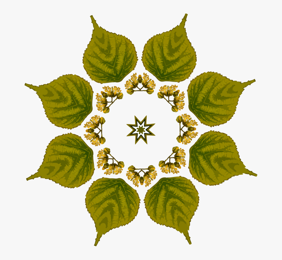Plant,flower,leaf - 花 的 幾何 圖形, Transparent Clipart