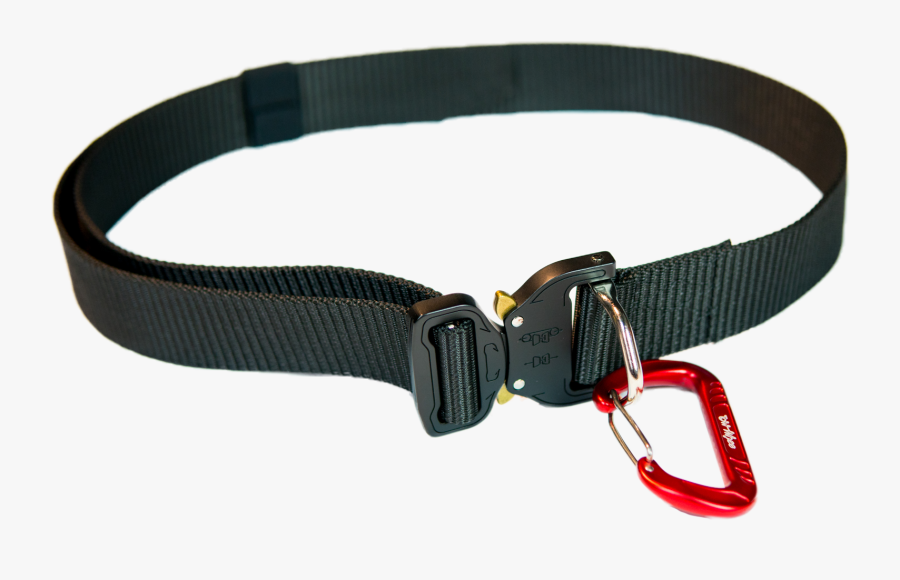 54, Transparent Clipart