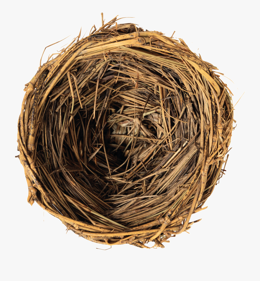 Facts About Spring Season, Transparent Clipart