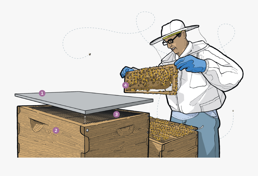 Cartoon, Transparent Clipart