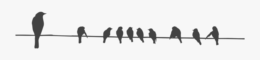 Bird Wire Columbidae Stencil - Bird On Line Png, Transparent Clipart