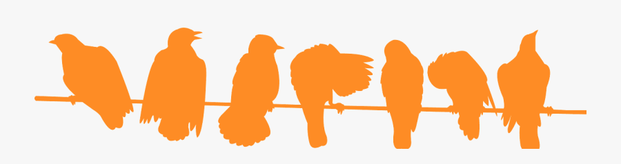 Птахи На Дроті Силует, Transparent Clipart