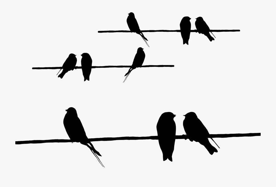 Barbed Wire Beak Silhouette Feather Font - Silhouette Cute Birds On A Wire, Transparent Clipart