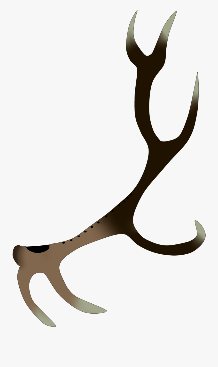 A Bard Soul Crystal, A Wind Instrument Carved From, Transparent Clipart