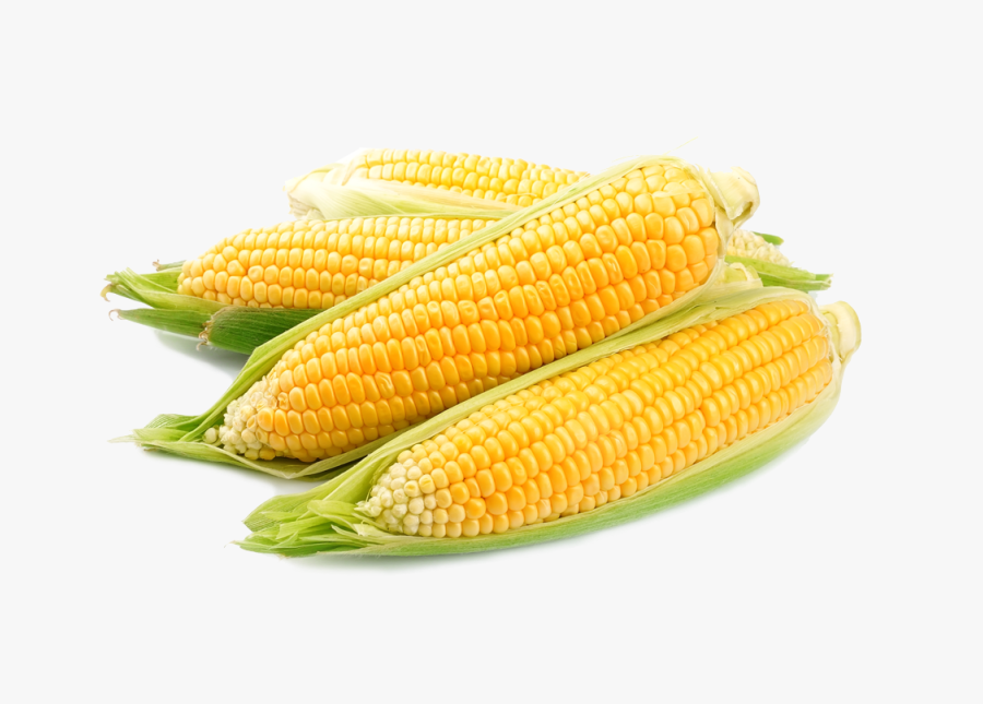 Clip Art Picture Of Corn - Una Receta Que Tenga Al Maíz Como Su Principal Ingrediente, Transparent Clipart