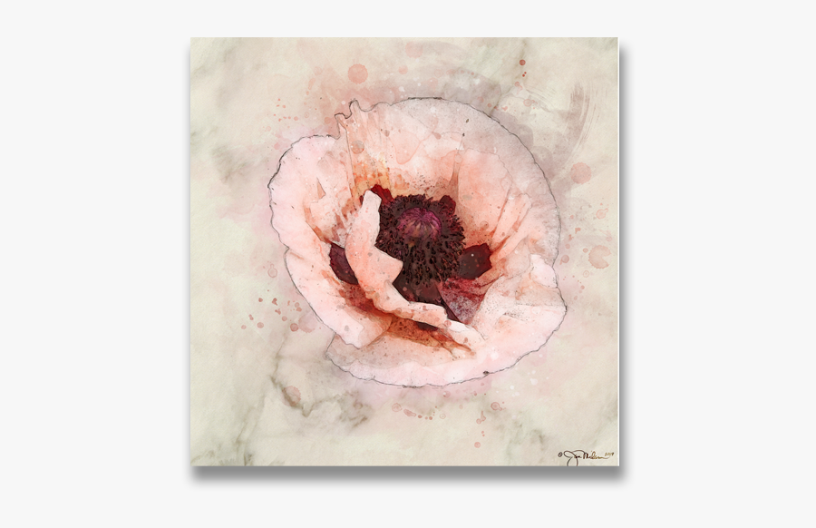 Pink Floral Painting On Canvas Transparent Background, Transparent Clipart