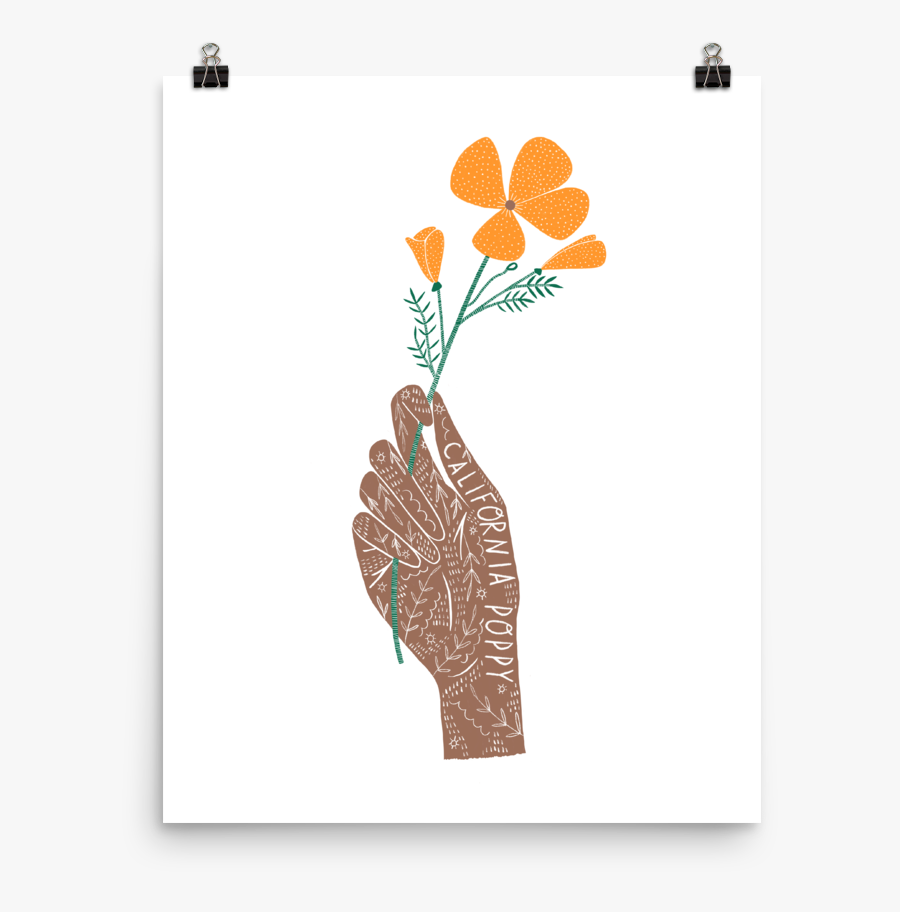 California State Flower - Adansonia, Transparent Clipart