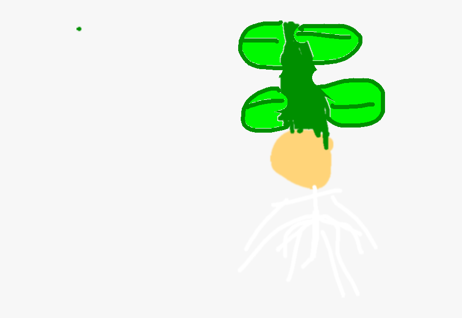 Plant Life Cycle Tynker - Graphic Design, Transparent Clipart