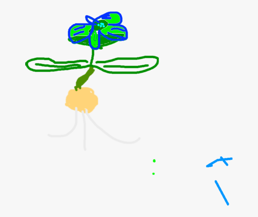 Clip Art, Transparent Clipart