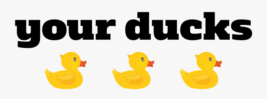 Png In A Transparent - Duck, Transparent Clipart