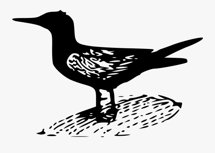 Line Art,water Bird,monochrome Photography - Bird Clip Art, Transparent Clipart