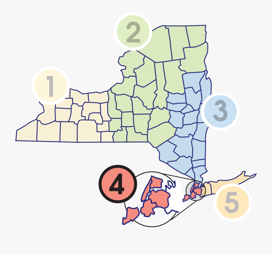 Oak Wilt Ny, Transparent Clipart