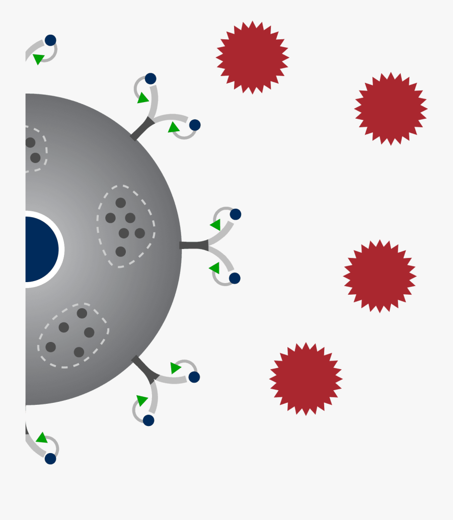 Drugs Clipart Drug Allergy - Gallbladder Stone Risk Factors, Transparent Clipart