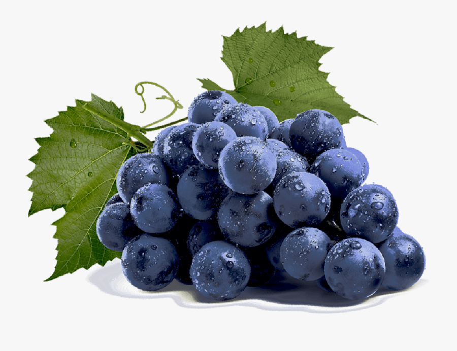 Featured image of post Logo Uvas Png