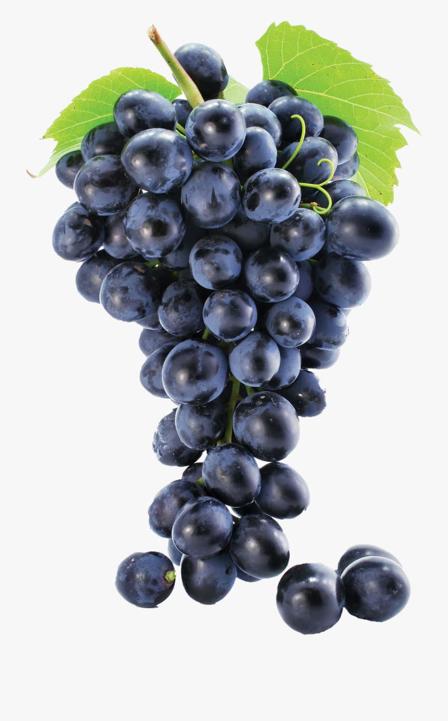 Grapes Collections At Sccpre - Grape Seed Grape Png, Transparent Clipart