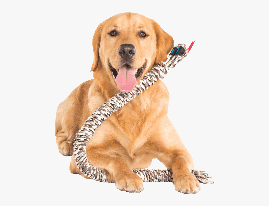 Snakebiter® Dog Toys Encourage Playtime And Bonding - Dog Yawns, Transparent Clipart
