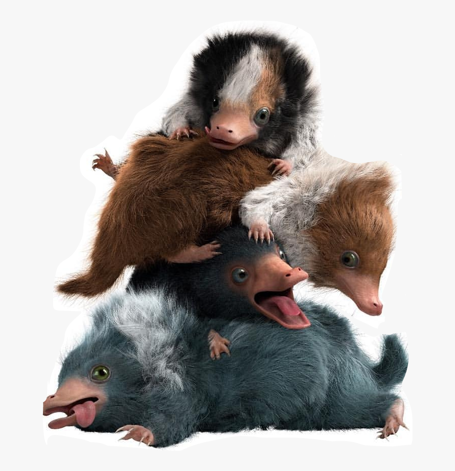 #babyniffler #escarbato #niffler - Fantastic Beasts The Crimes Of Grindelwald Animals, Transparent Clipart