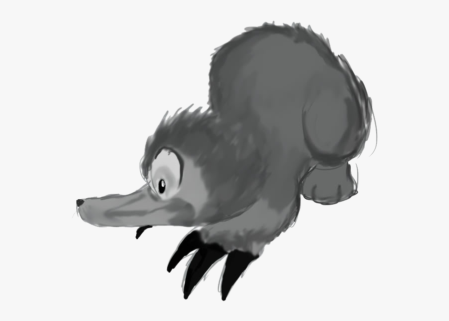 Duck, Transparent Clipart