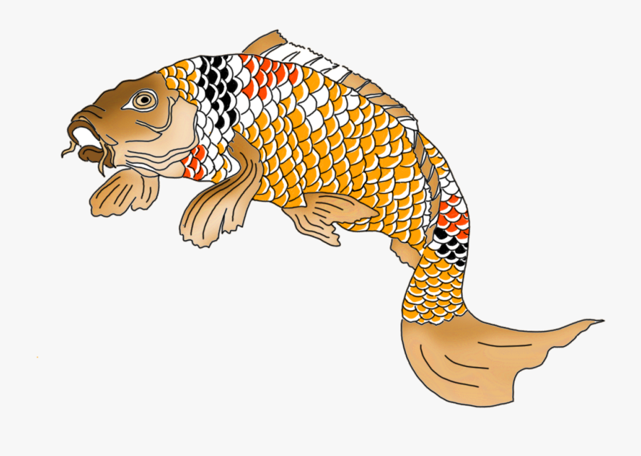 Colorful Koi Fish Drawings - Japanese Fish Drawing Png, Transparent Clipart