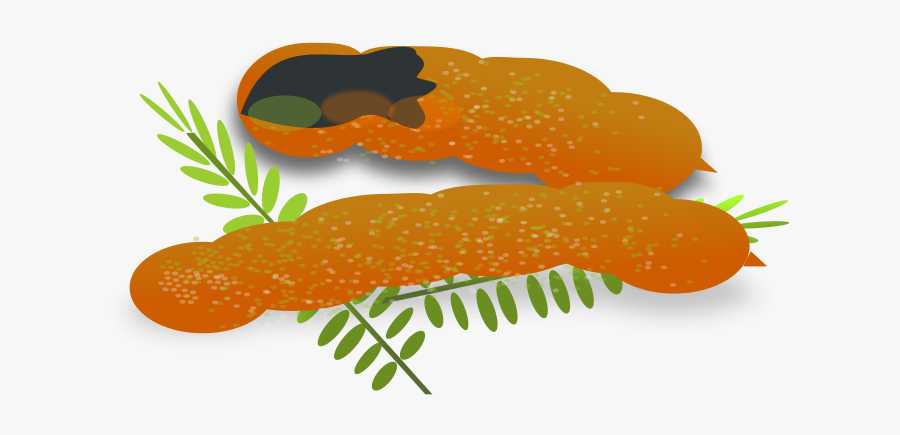 Tamarind - Sour Foods Clipart, Transparent Clipart