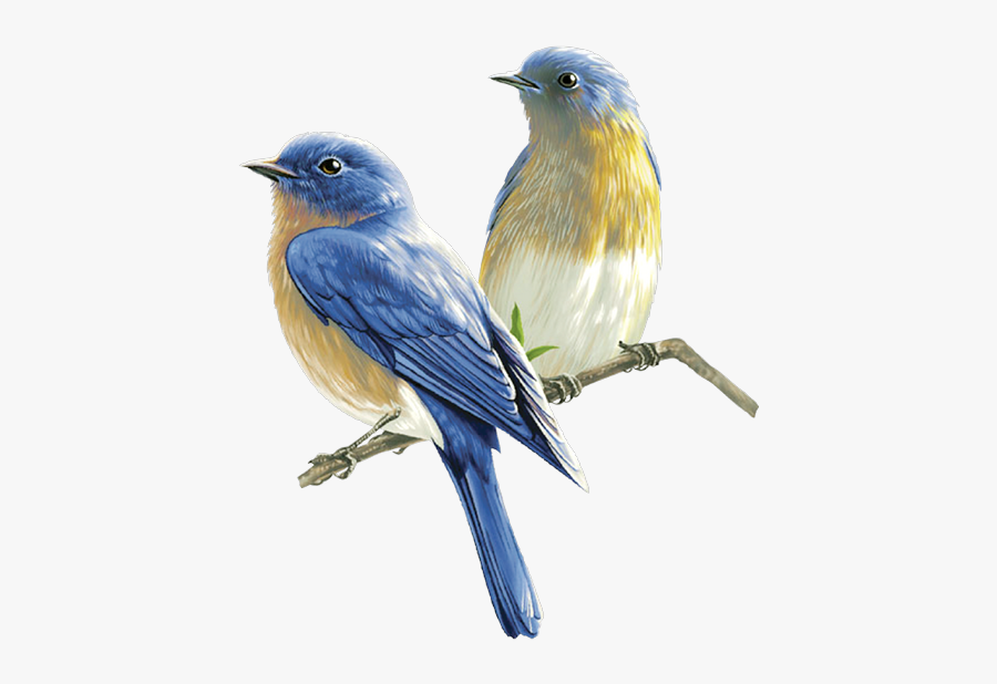 Watercolor Bird Png - Home Birds Png, Transparent Clipart