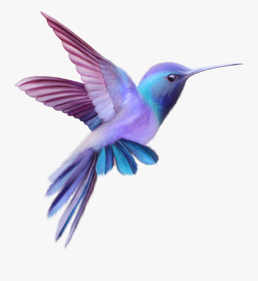 Pink And Purple Hummingbird, Transparent Clipart