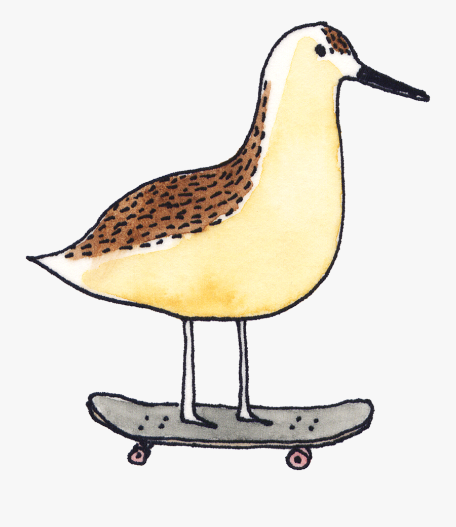 Sandpiper Clipart Watercolor - Sandpiper Tattoo, Transparent Clipart