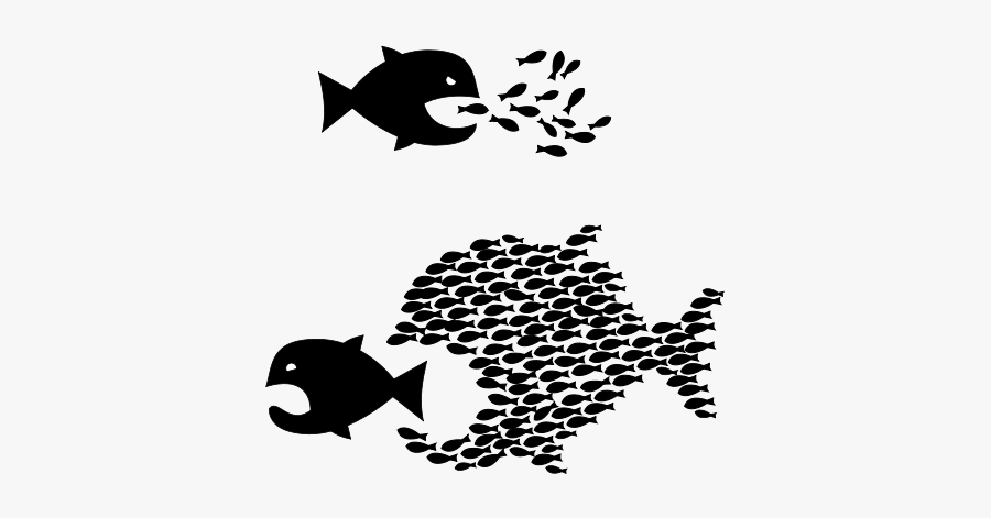 Organize Fish, Transparent Clipart