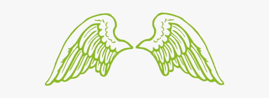 Angel Wings Outline Png Hd Transparent Wallpaper - Angel Wings No Background, Transparent Clipart