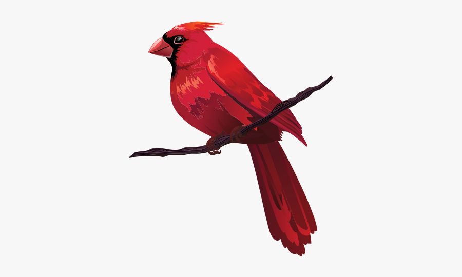 Bird Euclidean Clip Art - Cardinals Clipart Png, Transparent Clipart