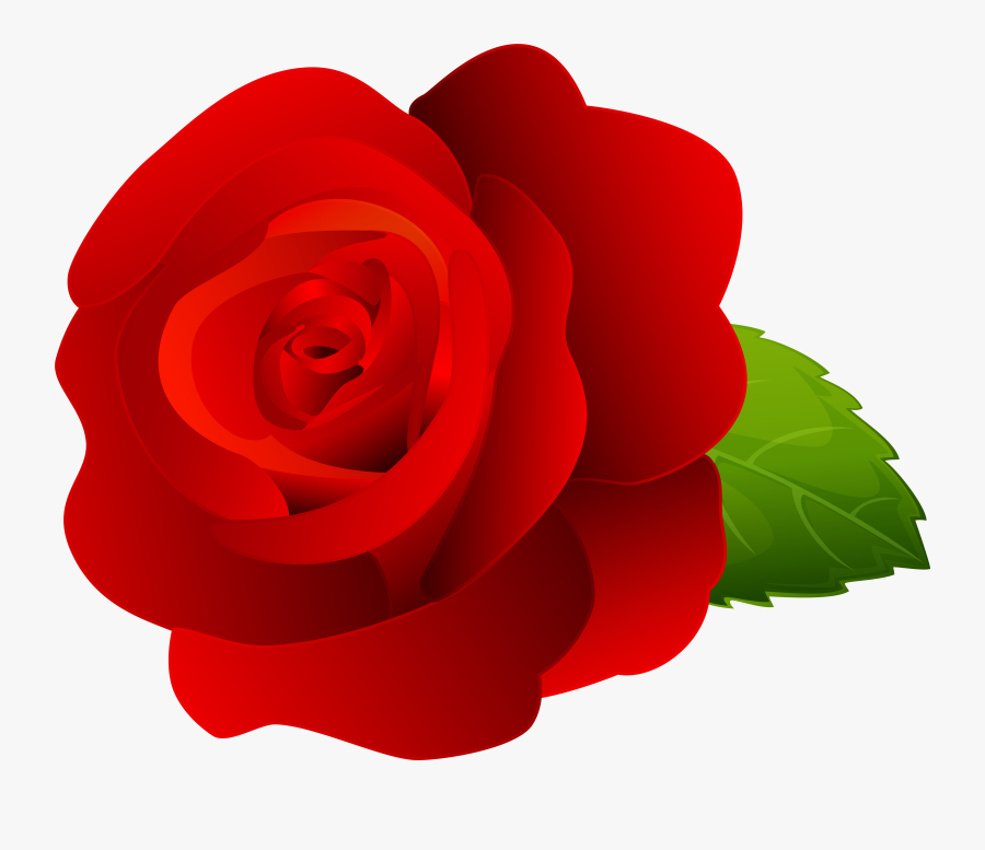 Rose Red Clip Art, Transparent Clipart