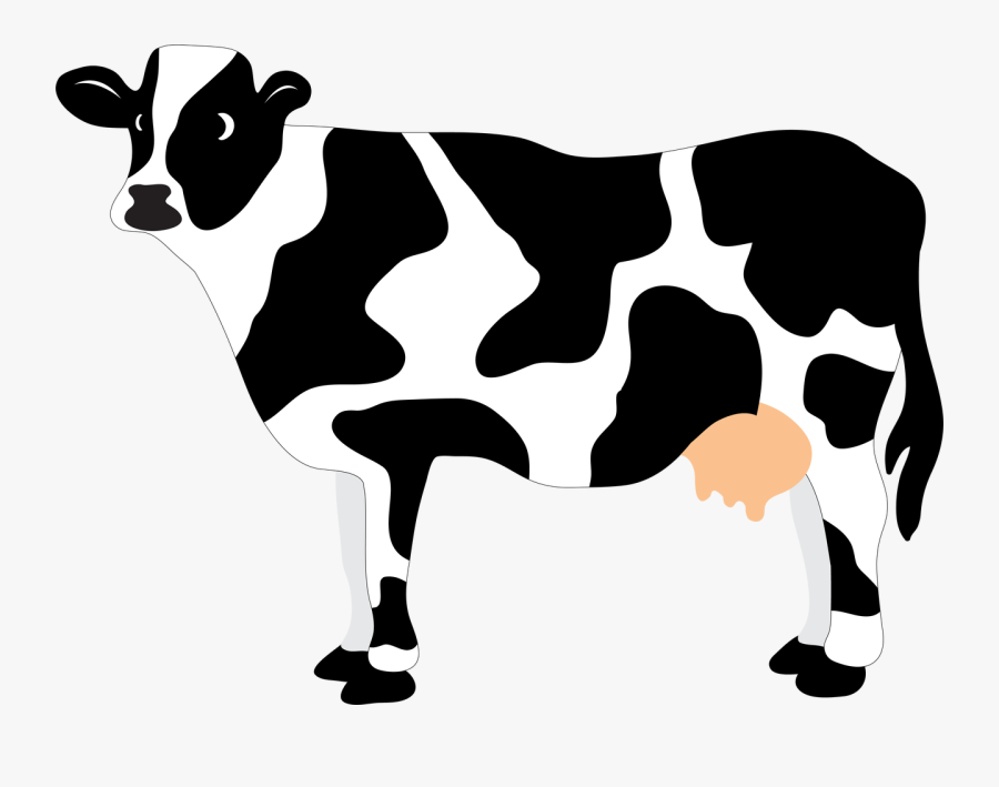 Oregon Clipart Cow - Cow Svg, Transparent Clipart