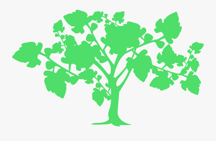 Tree Jpg, Transparent Clipart