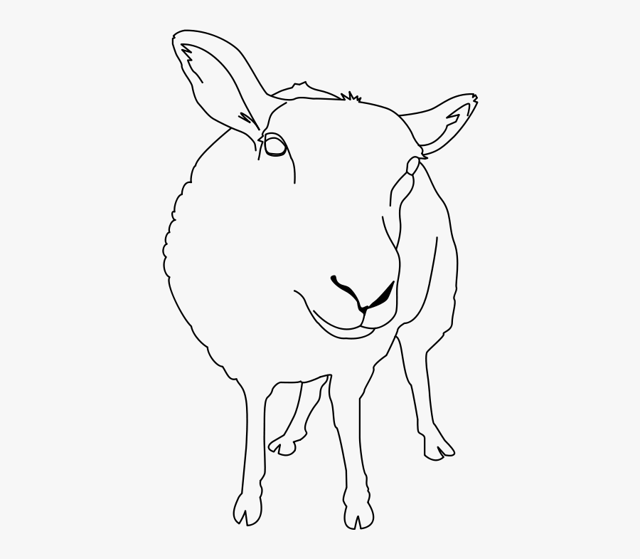 Oveja - Line Art, Transparent Clipart