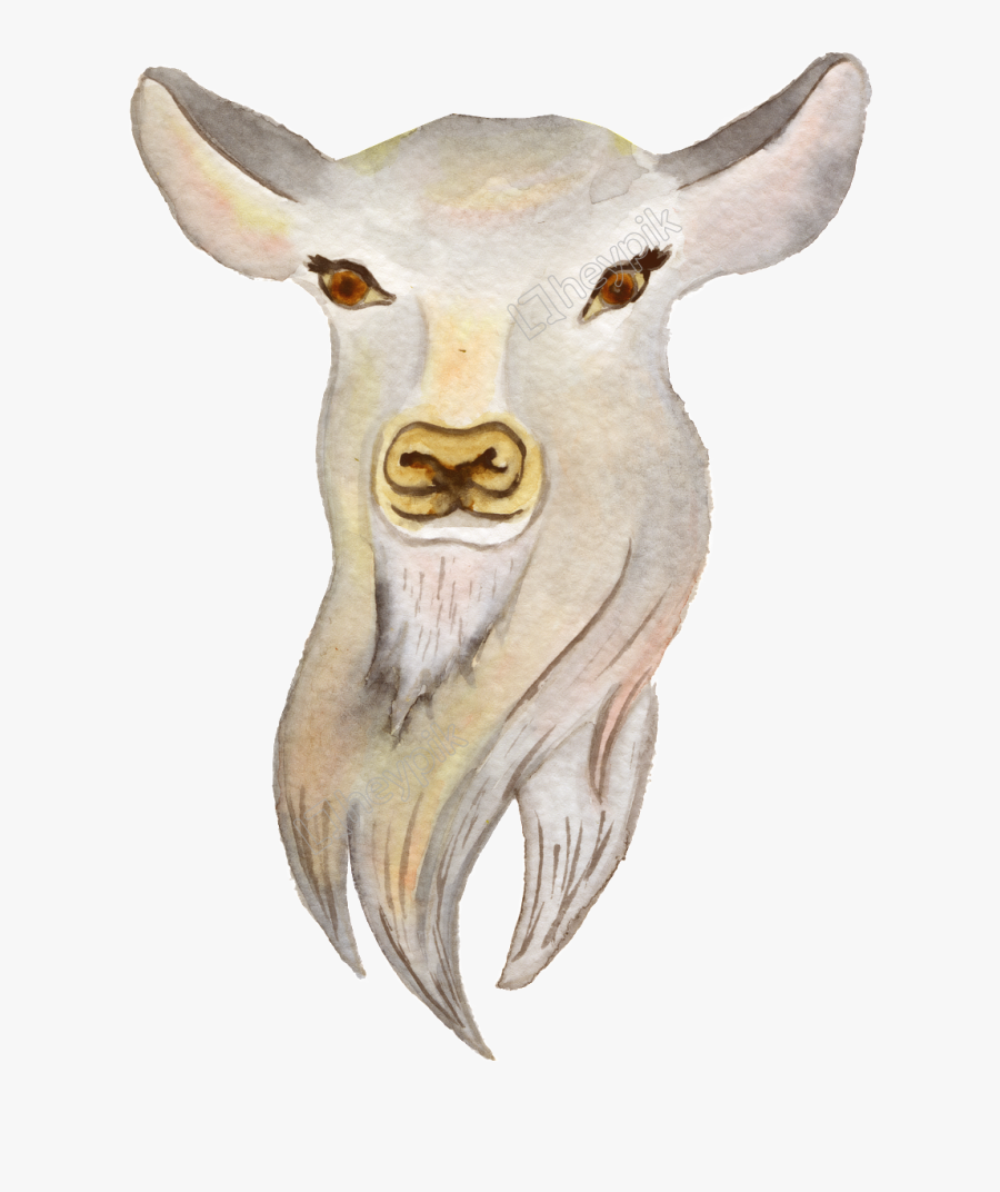 Clip Art Png Transparente A Mano - Bull, Transparent Clipart