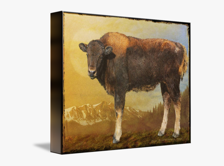 Clip Art Bison Art Prints - Bull, Transparent Clipart