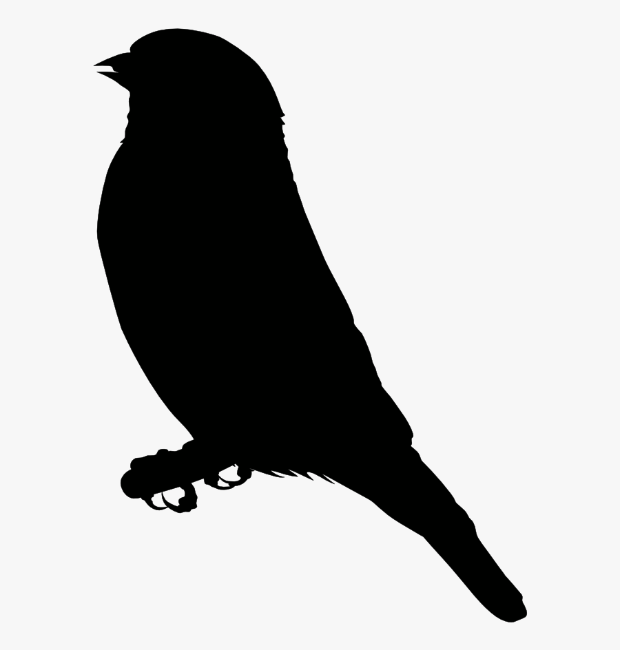 Finch Clip Art - Eagle Clipart Black, Transparent Clipart