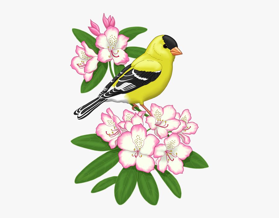 Finch Clipart American Goldfinch - Washington Bird And Flower On Tshirt, Transparent Clipart