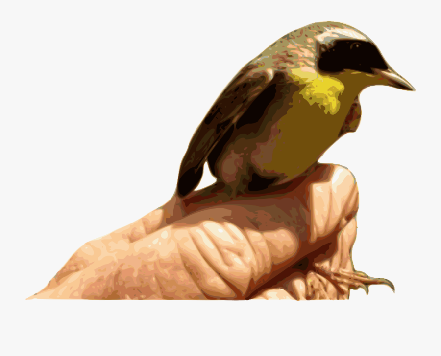 Yellowthroat Bird - Bird, Transparent Clipart