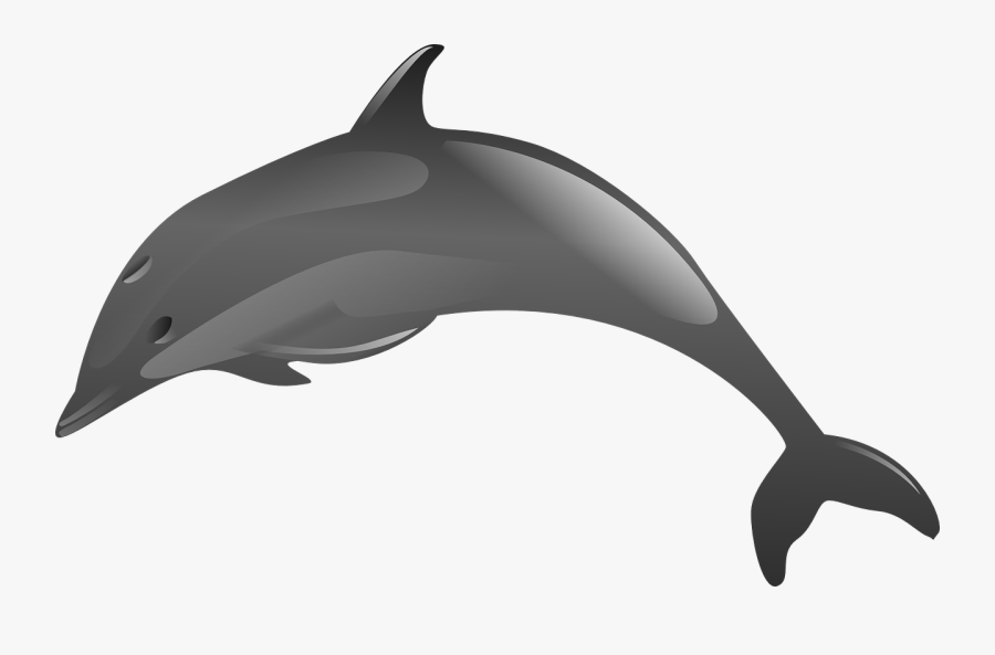 3 Jumping Dolphin Clipart - Animales Acuaticos En Png, Transparent Clipart
