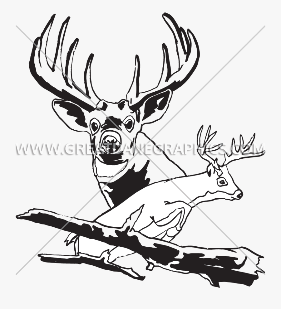 Bass Drawing Buck - Cartoon, Transparent Clipart