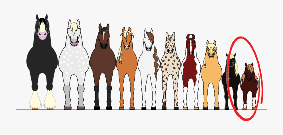 Verschiedene Pferde, Transparent Clipart