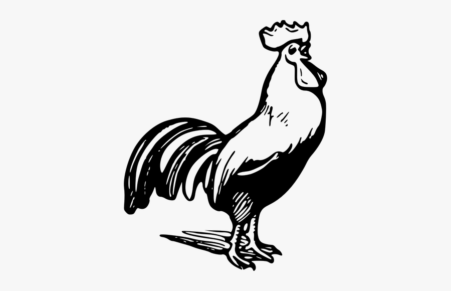 Outline Vector Drawing Of Rooster - Clip Art Black And White Rooster, Transparent Clipart