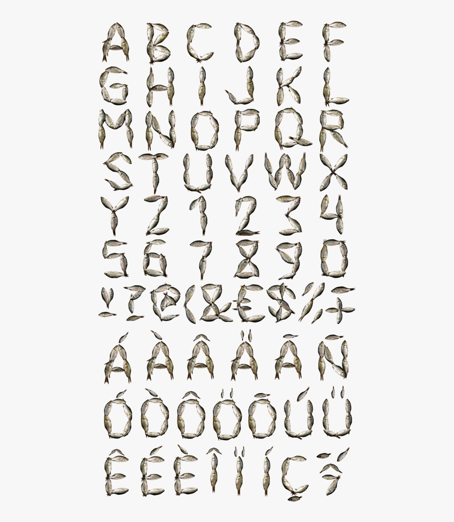 Clip Art Biggest Fonts - Typography Fish Font, Transparent Clipart