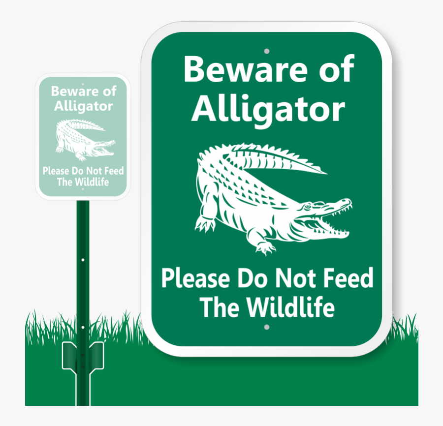 Alligator Warning Signs Beware - Alligators In Connecticut, Transparent Clipart