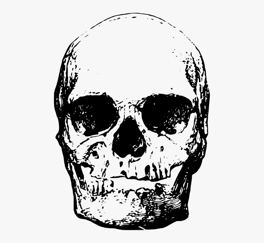Head,skull,monochrome Photography - หัว กะโหลก Png, Transparent Clipart