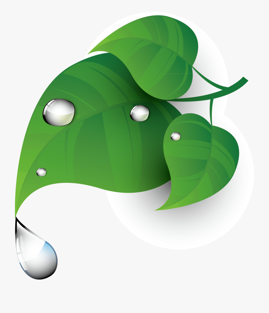 Clover Clipart Clover Grass - Dew Clip Art, Transparent Clipart