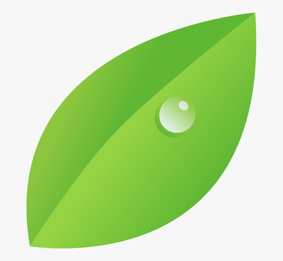 Leaf,green,oval - Dew On Leaf Clipart, Transparent Clipart