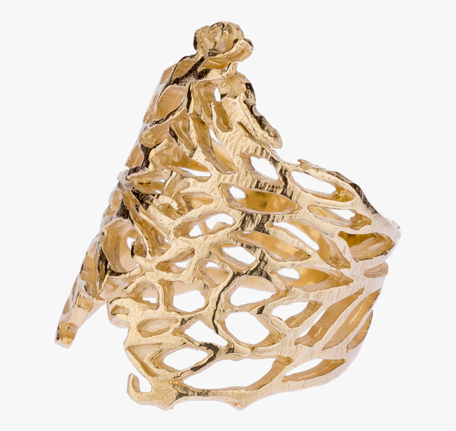 Thorn Crown Png -thorn Bush Rings - Wood, Transparent Clipart